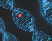 Rola genów w diagnostyce raka